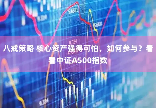 八戒策略 核心资产强得可怕，如何参与？看看中证A500指数
